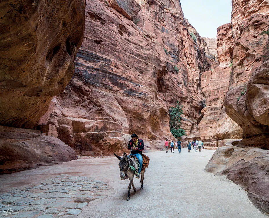 Petra 1 Petra 1