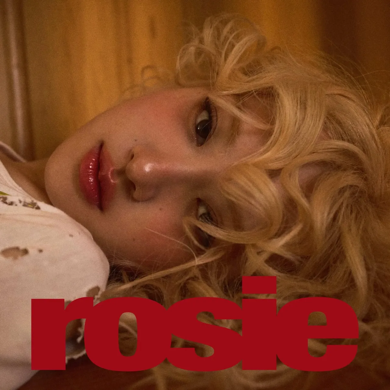 bìa album rosie cua rose