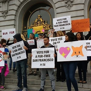 San Francisco sẽ cấm cửa chất liệu lông thú trên toàn thành phố
