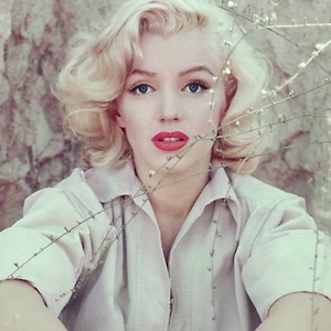 Liệu cái chết bí ẩn của Marilyn Monroe có liên quan đến chính trị?
