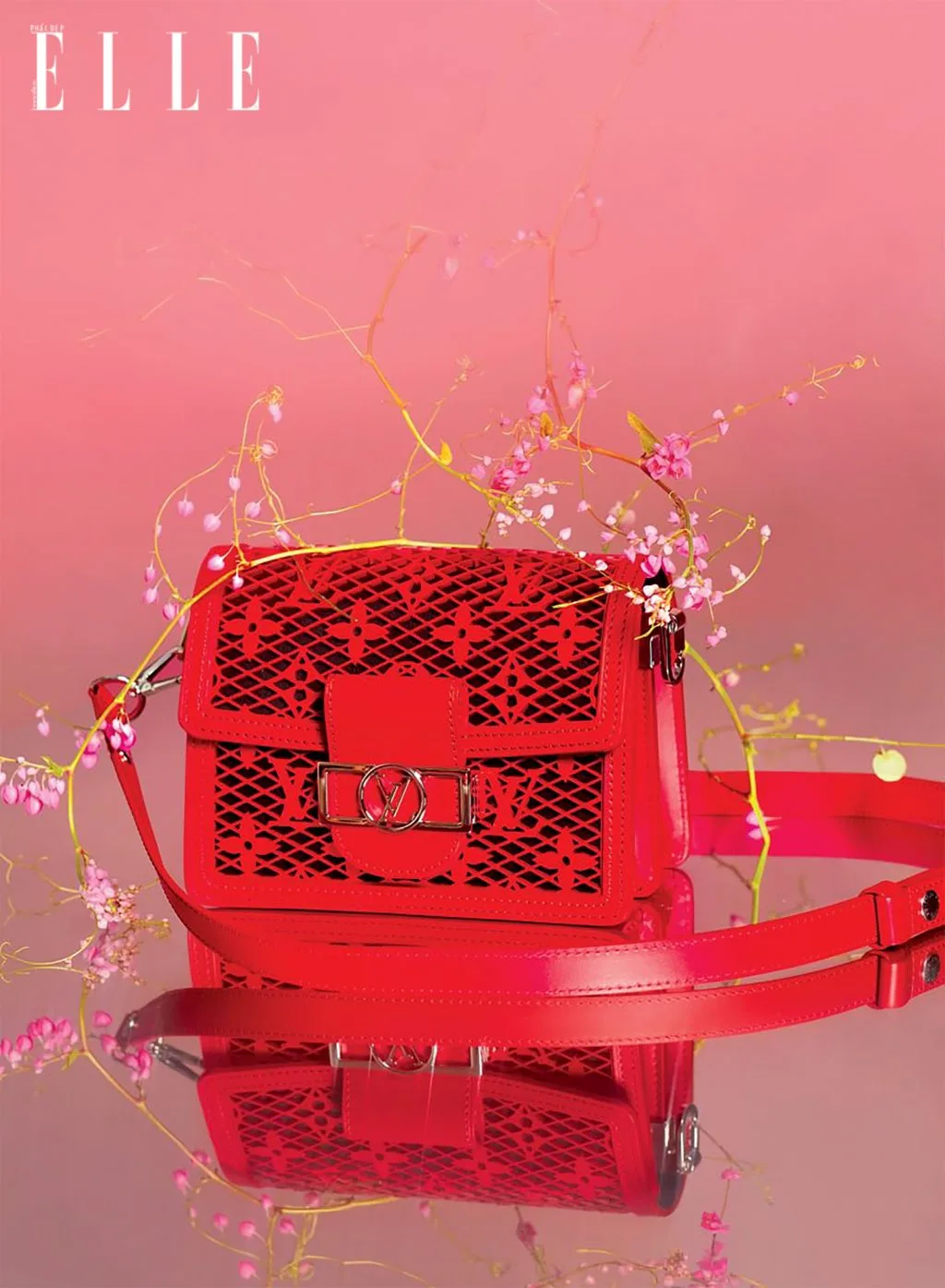 chiếc túi thương hiệu Dauphine Mini chiếc túi thương hiệu Dauphine Mini