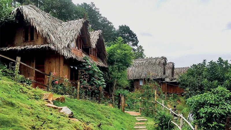 Bài viết liên quan