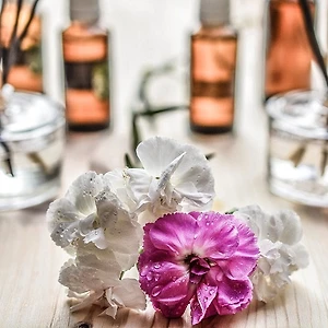 toner nào tốt