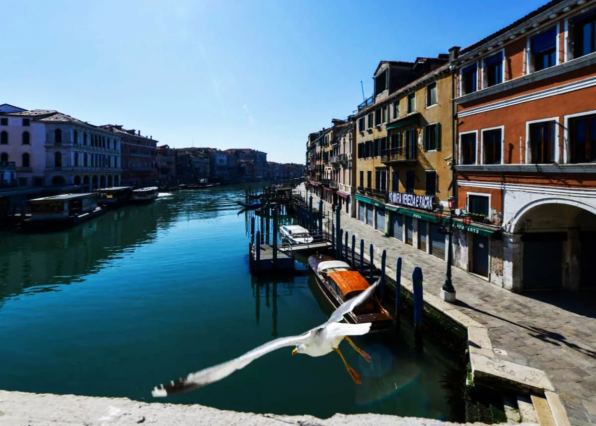 kênh đào Venice trong xanh nhờ đại dịch