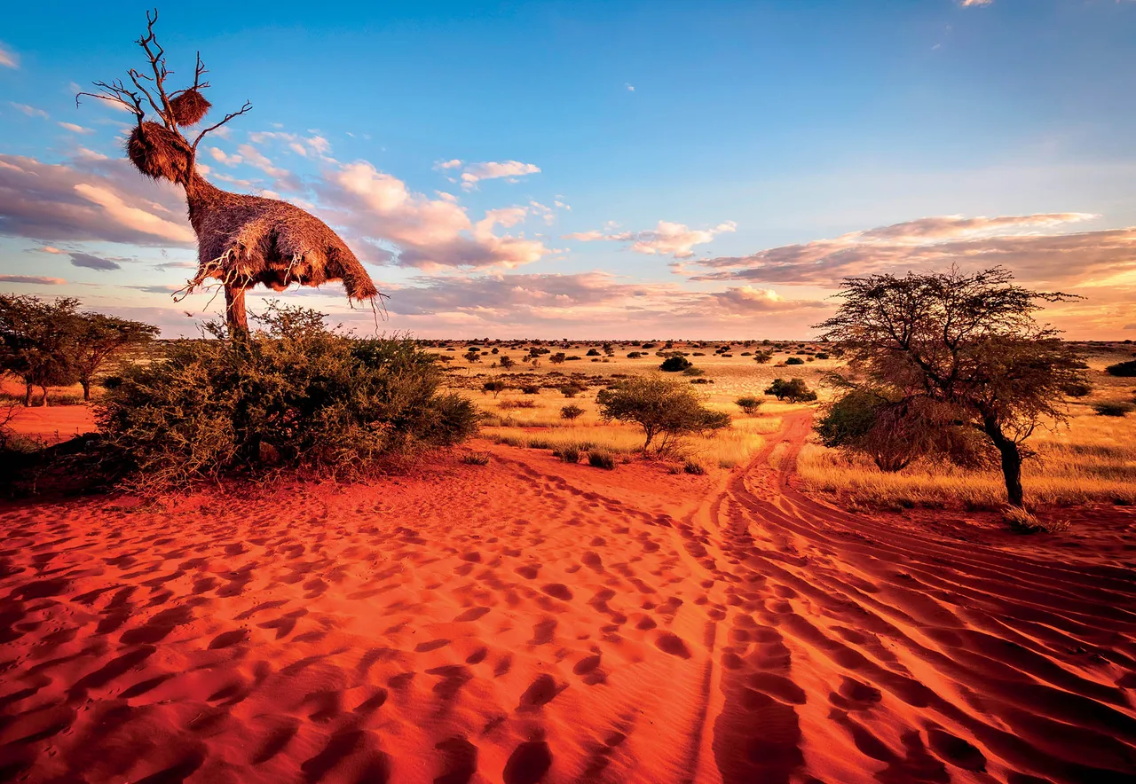 địa điểm sa mạc Kalahari địa điểm sa mạc Kalahari