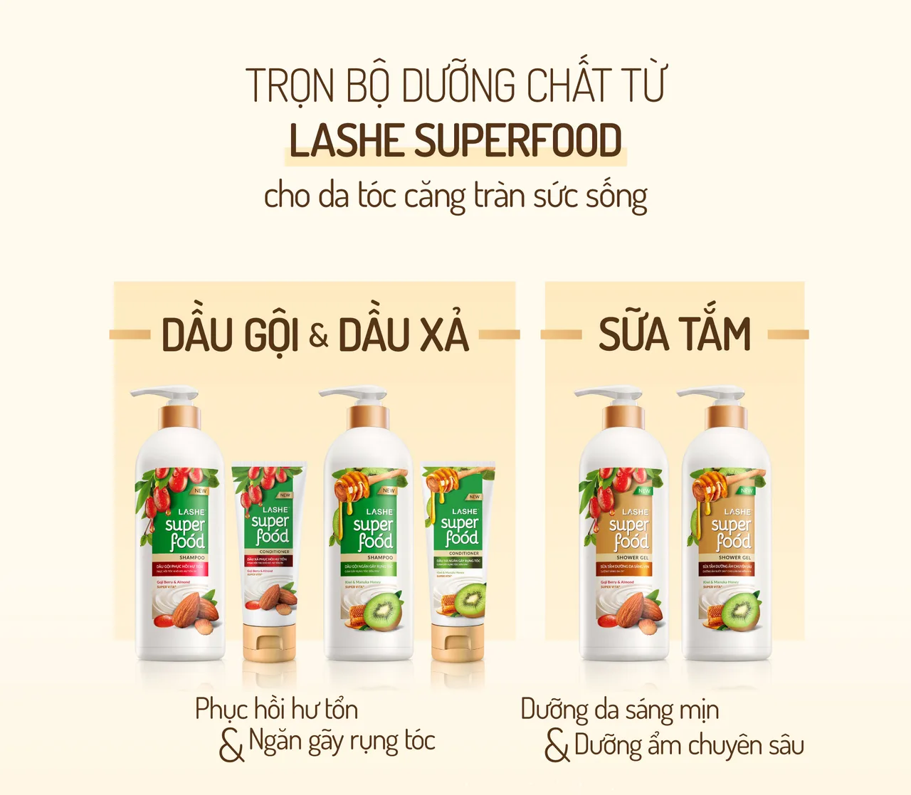 dầu gội xả dầu gội xả