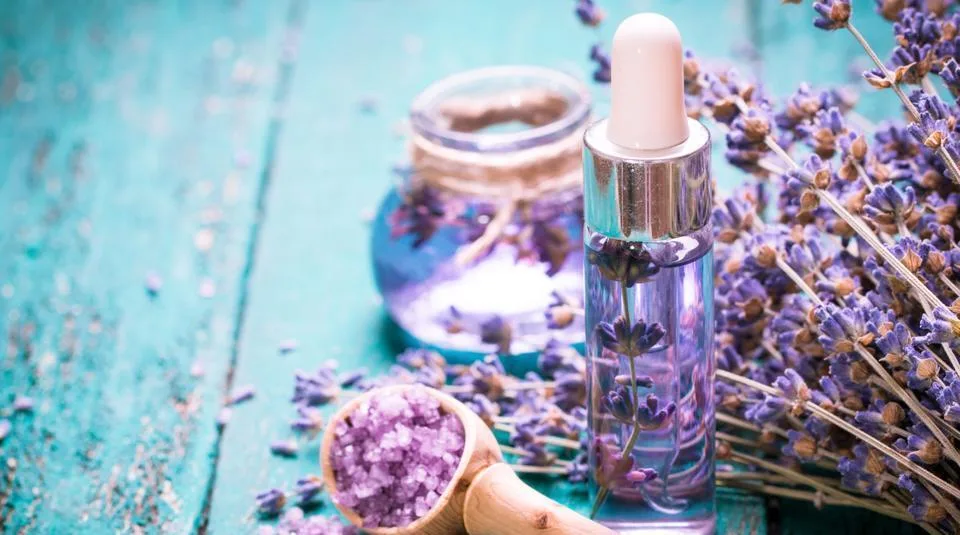 tinh dầu oải hương 4 tinh dầu oải hương 4