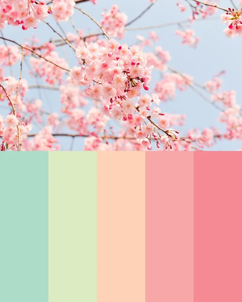 Personal Color: nhóm màu mùa Xuân