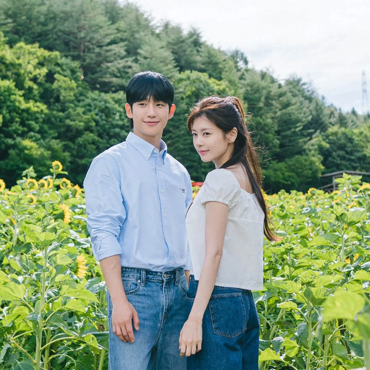 love next door phim hàn