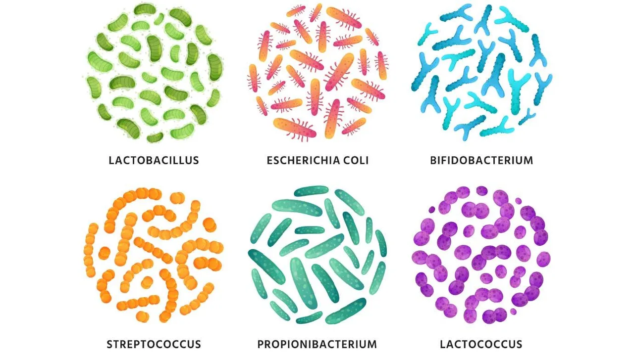 Microbiome - Hàng phòng thủ vi sinh cho làn da khỏe mạnh Microbiome - Hàng phòng thủ vi sinh cho làn da khỏe mạnh