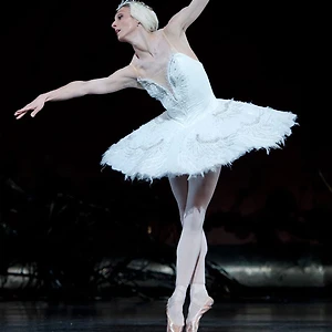 Một đêm duy nhất vở ballet “Kẹp Hạt Dẻ” và “Hồ Thiên Nga”