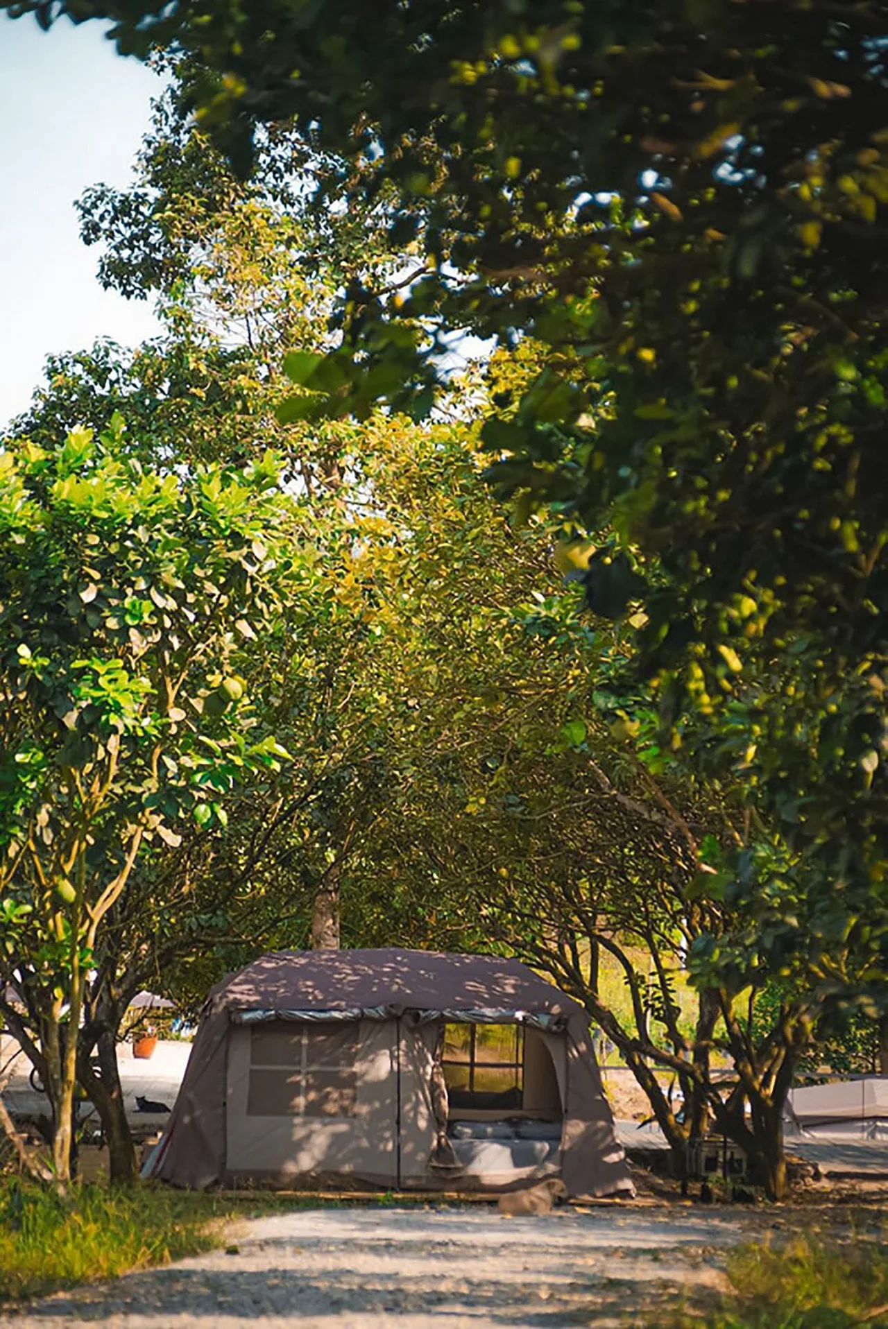 địa điểm suối camp địa điểm suối camp