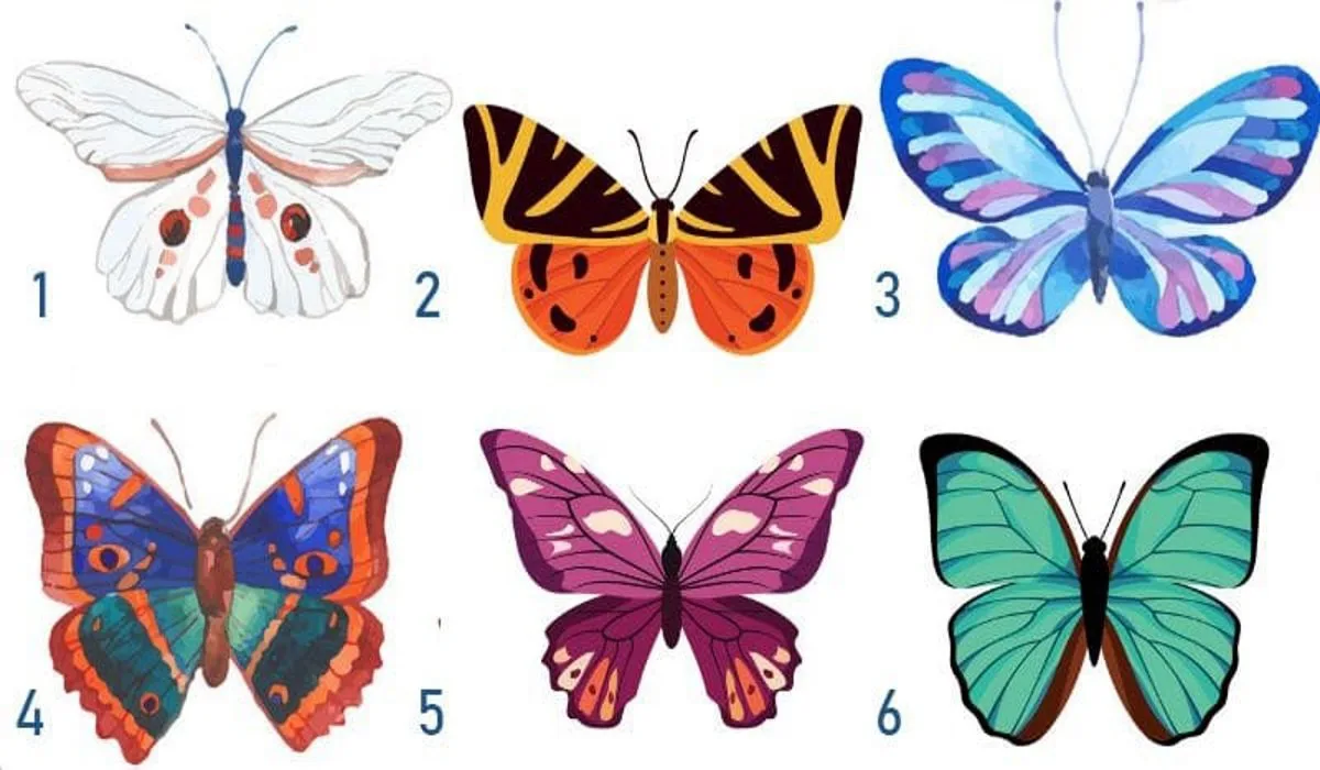 trắc nghiệm tính cách