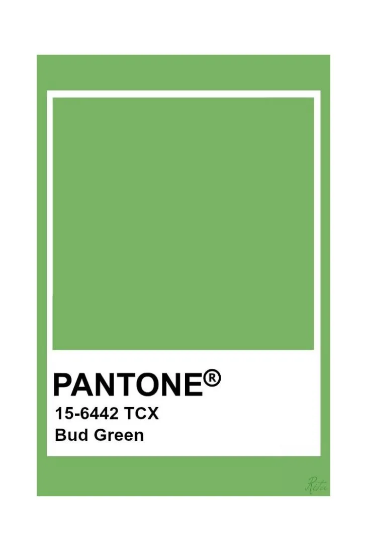 màu bud green