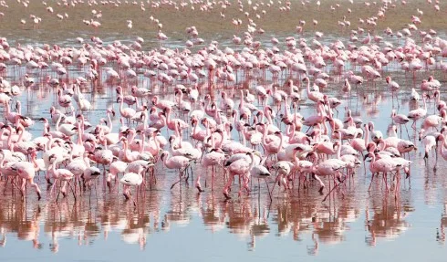 Du lich Namibia tieng goi noi hoang da 10