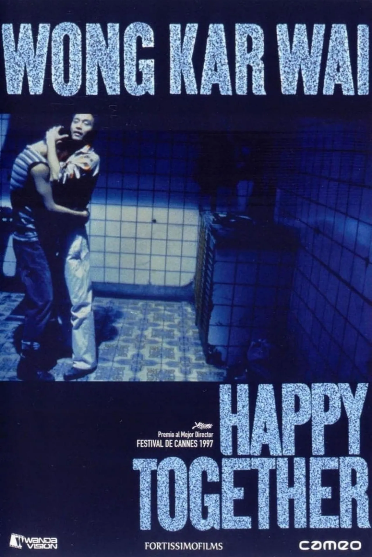 poster phim Hồng Kông Happy Together do Vương Gia Vệ làm đạo diễn
