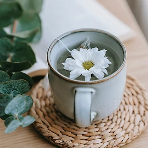 thảo mộc xoa dịu nỗi lo mất ngủ