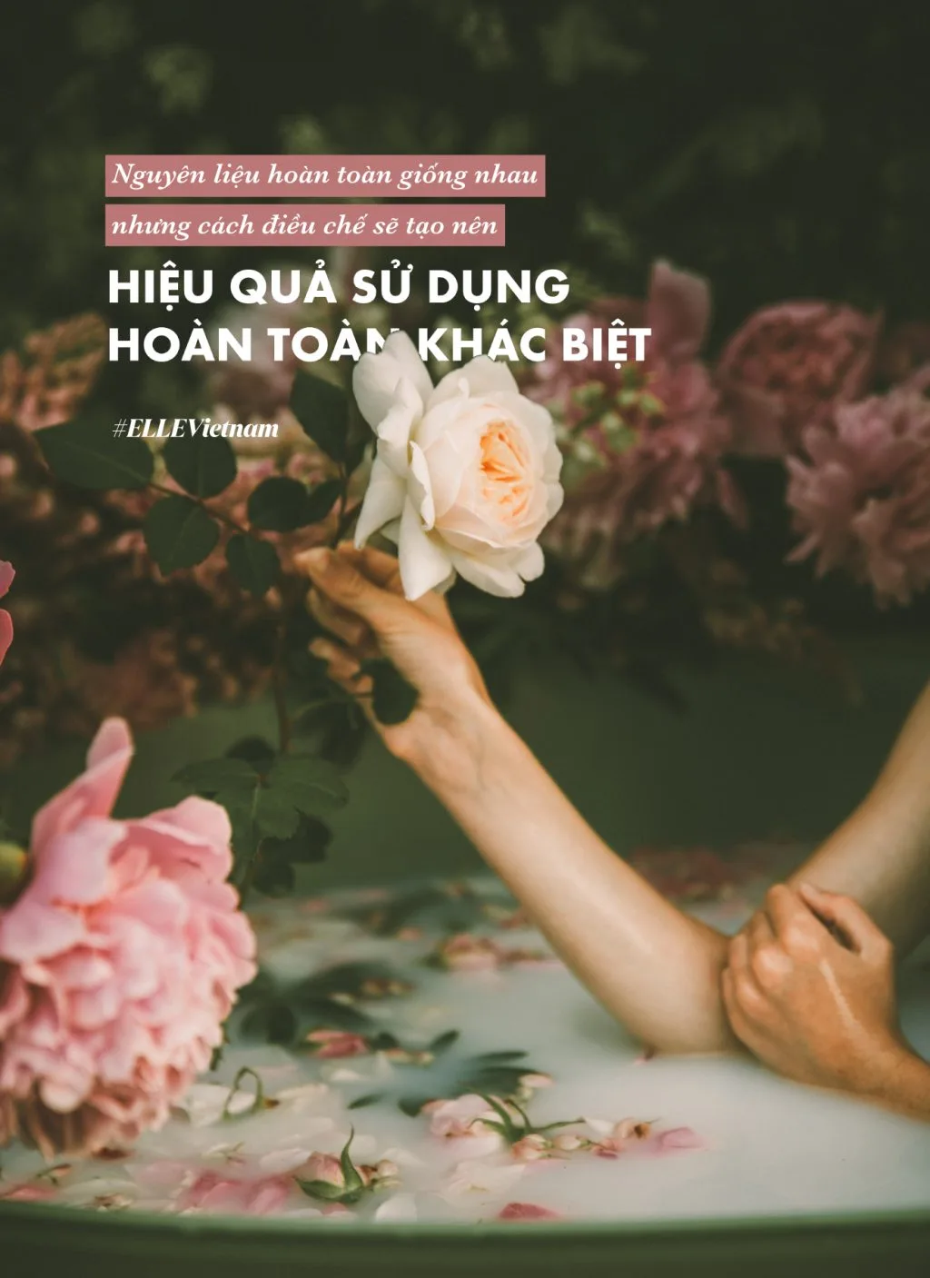 mỹ phẩm cao cấp đầu tư có xứng đáng 8 mỹ phẩm cao cấp đầu tư có xứng đáng 8
