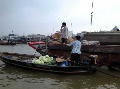 Một ghe hàng bông bán bắp cải và dưa hấu