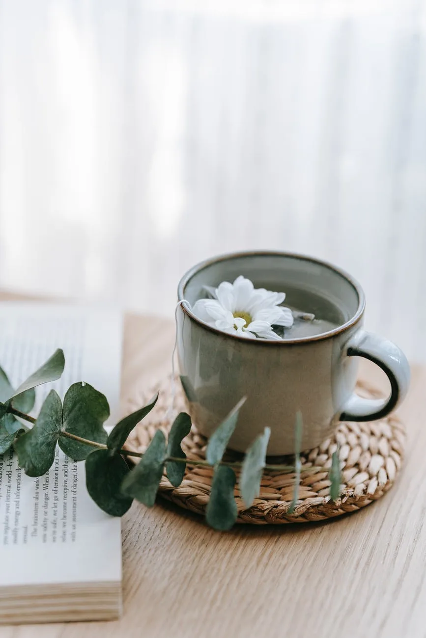 Trà xanh - thức uống tốt cho self-care routine mùa Đông Trà xanh - thức uống tốt cho self-care routine mùa Đông