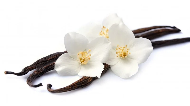 nước hoa 08 nước hoa 08