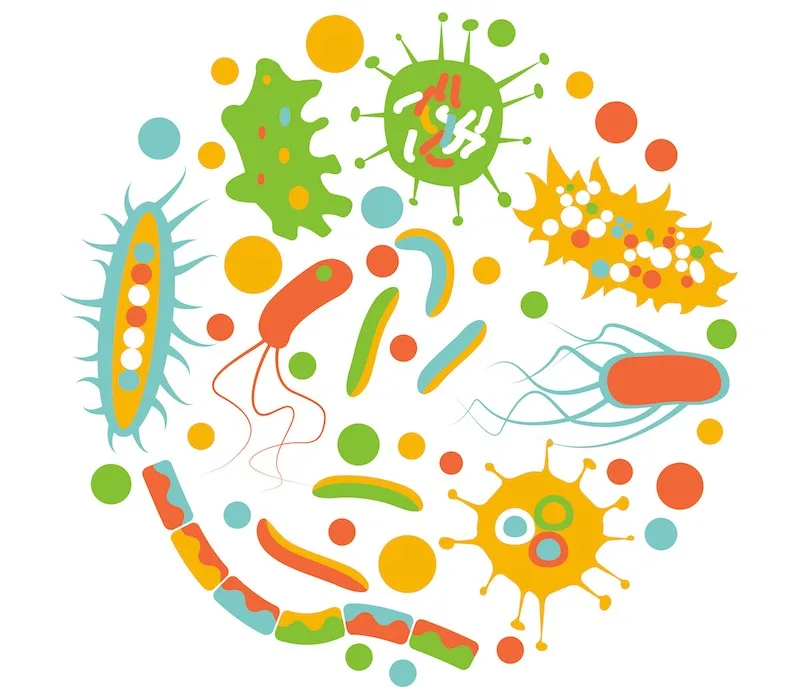 Microbiome - Hàng phòng thủ vi sinh cho làn da khỏe mạnh Microbiome - Hàng phòng thủ vi sinh cho làn da khỏe mạnh
