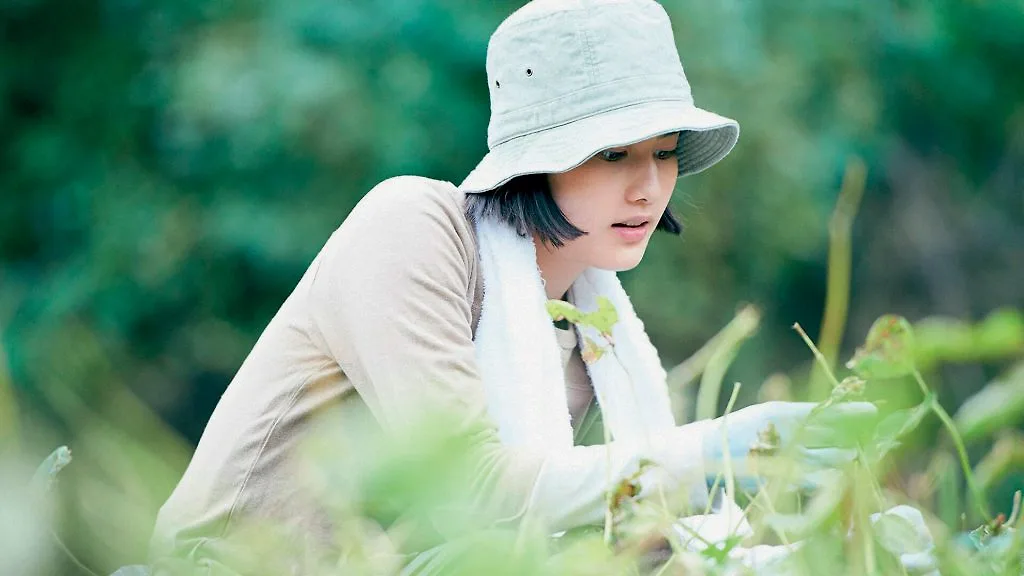 Little Forest chữa lành tâm hồn Little Forest chữa lành tâm hồn