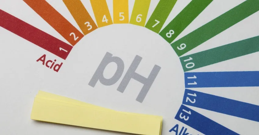 3 loại nước hoa hồng, có thực sự cần thiết? 3 loại nước hoa hồng, có thực sự cần thiết?
