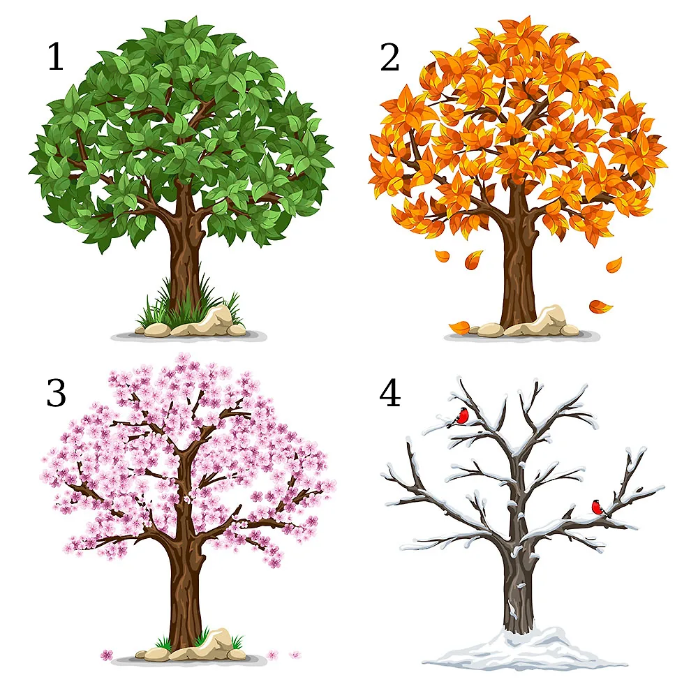 hình ảnh trắc nghiệm ưu điểm