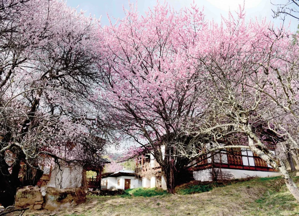 Du lịch Bhutan - chuyến đi đầy ắp nỗi nhớ