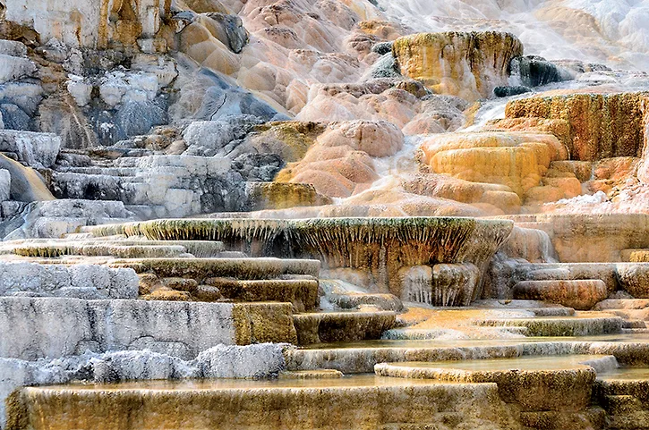 Ghé thăm rừng quốc gia đầu tiên trên thế giới - Yellowstone Ghé thăm rừng quốc gia đầu tiên trên thế giới - Yellowstone
