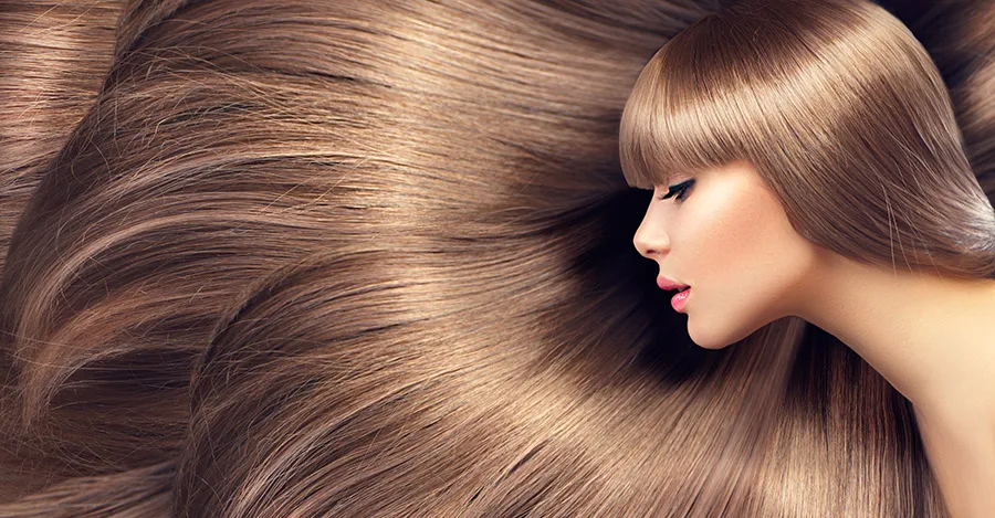 Top 8 loại thực phẩm kích thích mọc tóc nhanh và dày đến bất ngờ Top 8 loại thực phẩm kích thích mọc tóc nhanh và dày đến bất ngờ