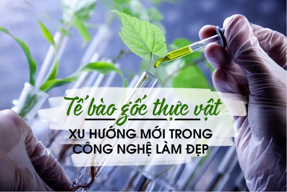 Xu hướng nuôi dài lông mi