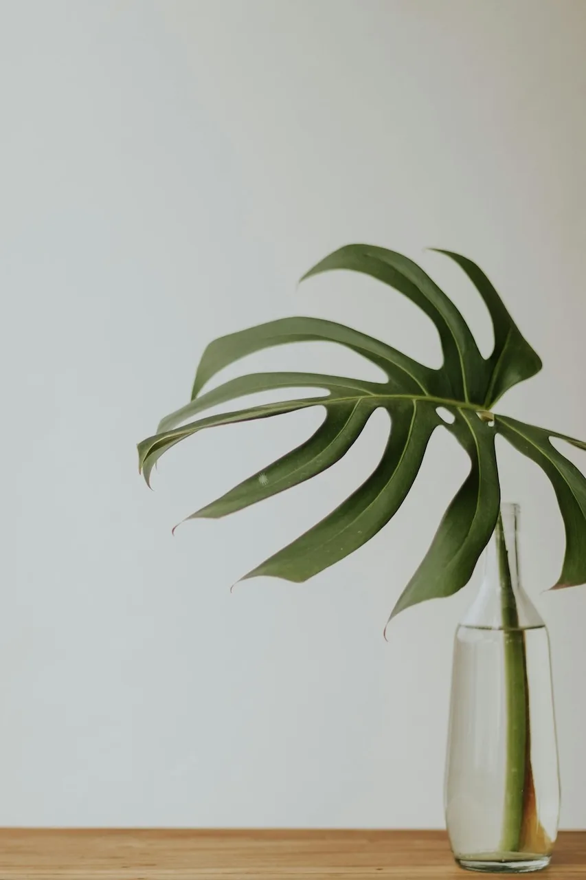 hình ảnh tái sử dụng một chai thủy tinh