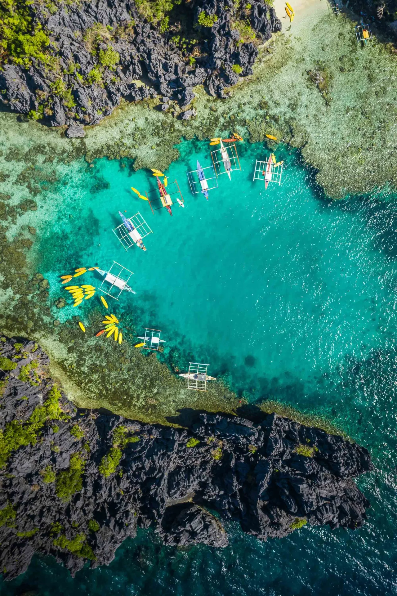 el nido