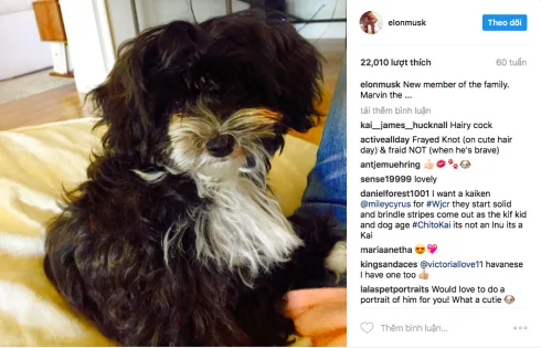 điều thú vị trên Instagram của Elon Musk