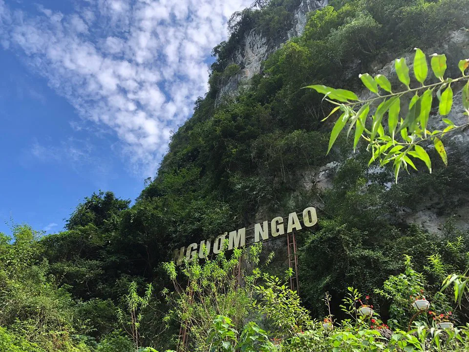 động ngườm ngao