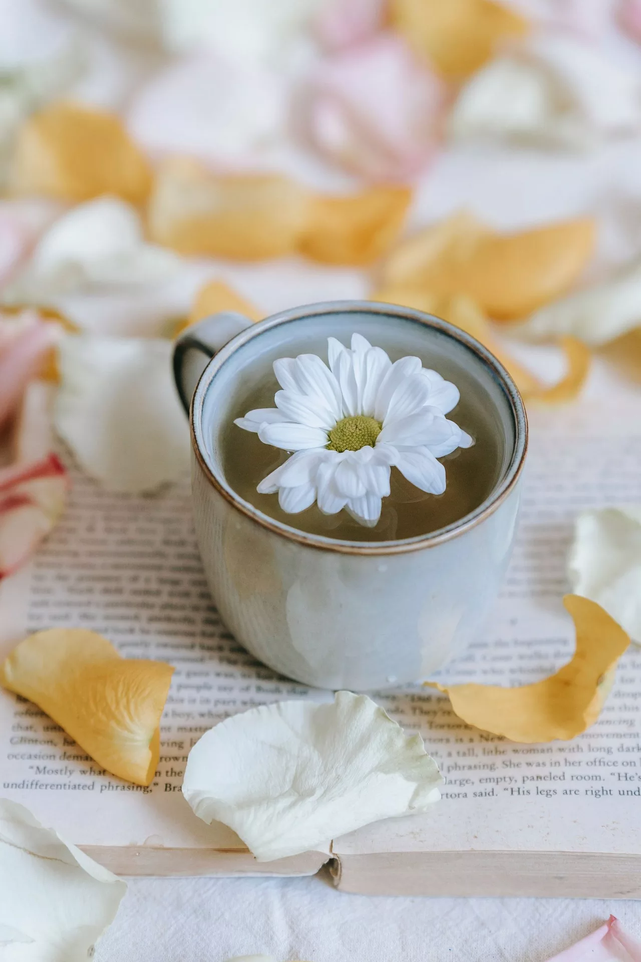 Điều trị mất ngủ với trà hoa cúc Điều trị mất ngủ với trà hoa cúc