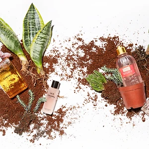 Bộ ảnh sản phẩm The Body, The Plant