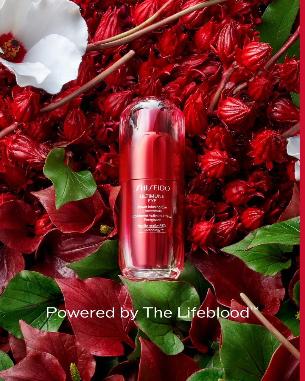 shiseido-ultimune-eye-tinh-chat-duong-mat-cho-tet-1024x1280.jpg