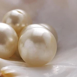 Bột ngọc trai – “thần dược” giảm thâm nám hiệu quả cho phái đẹp