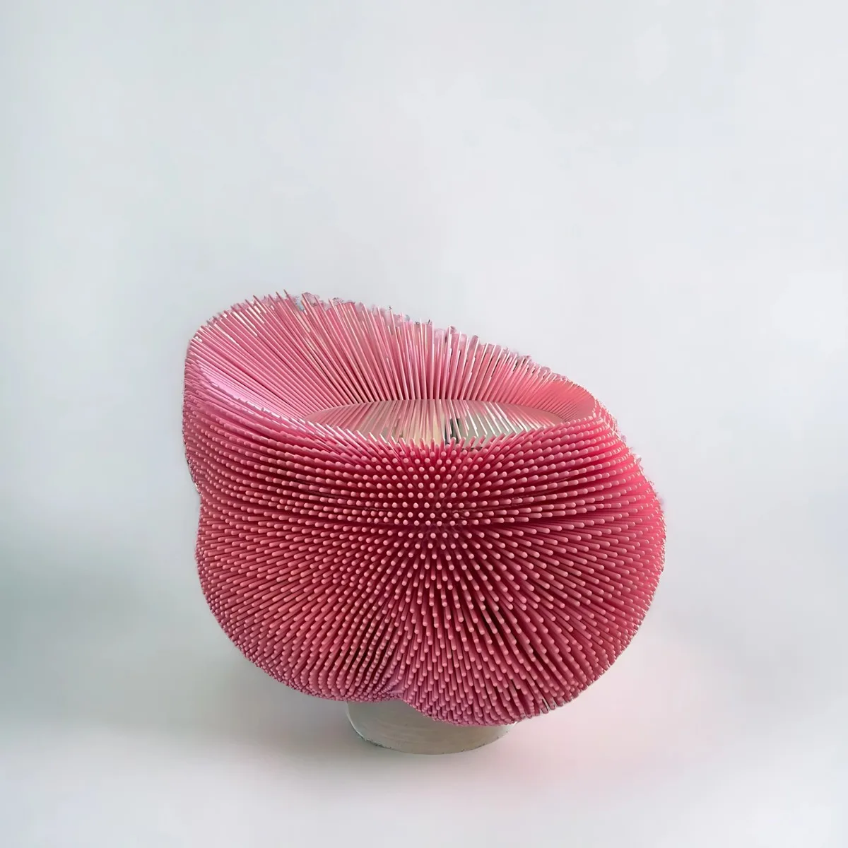 Sea Anemone 1 (Pink) (Ảnh: ELLE)
