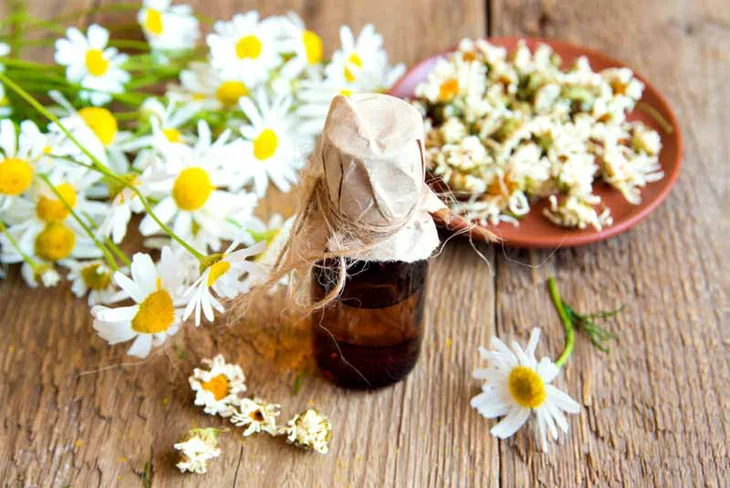 tinh dầu thiên nhiên 10 tinh dầu thiên nhiên 10