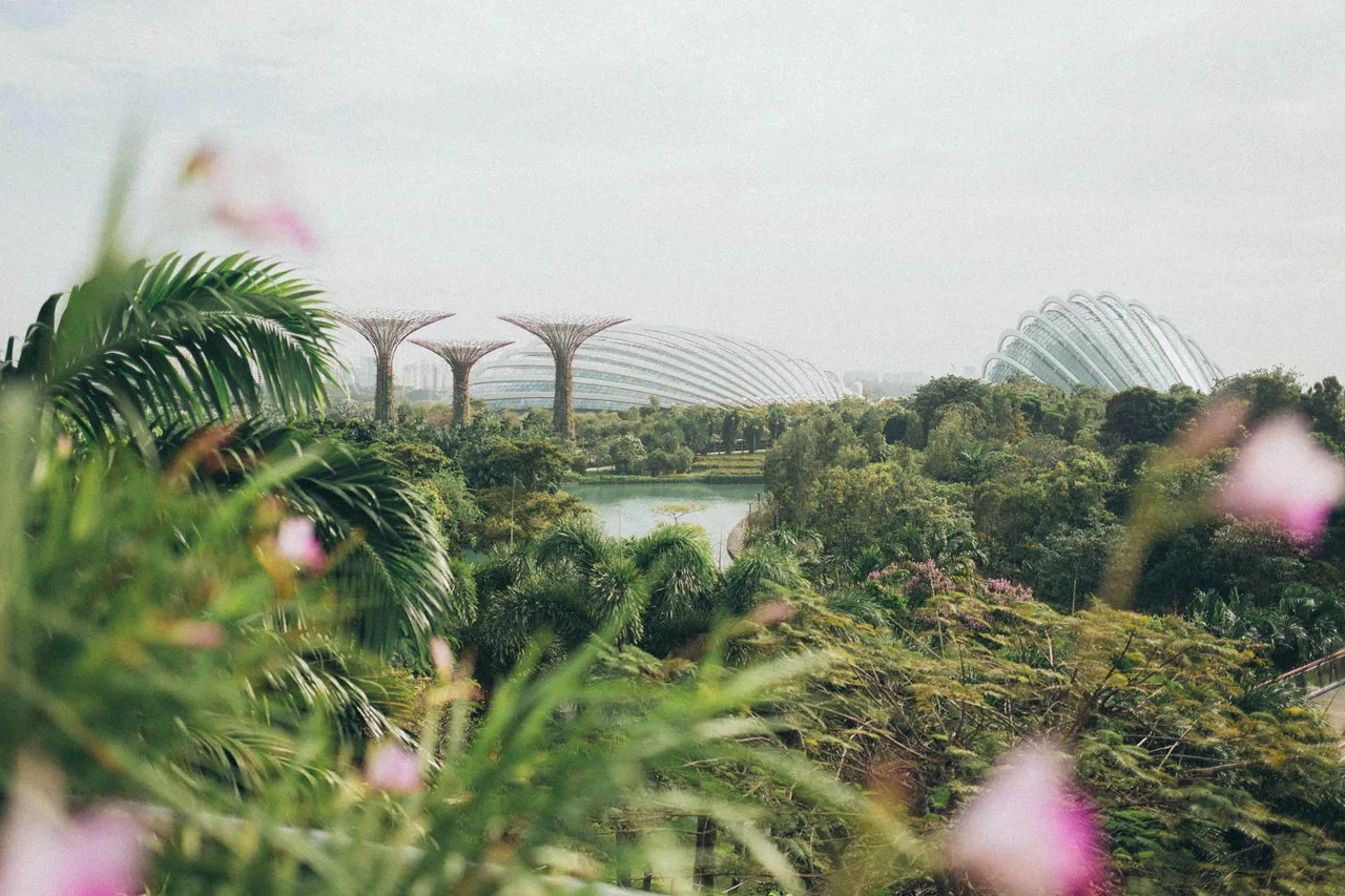 du lịch singapore