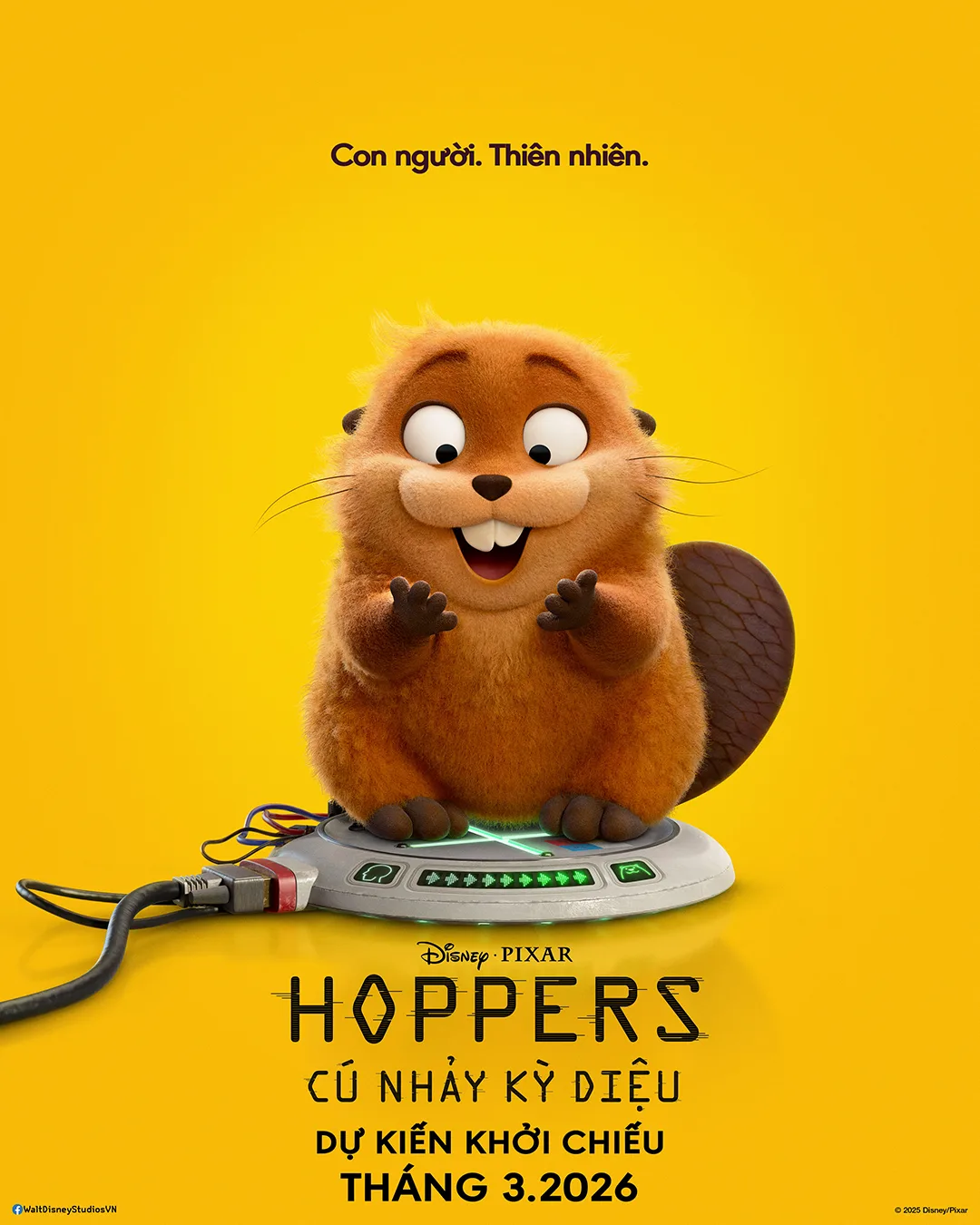 HOPPERS - TEASER ART