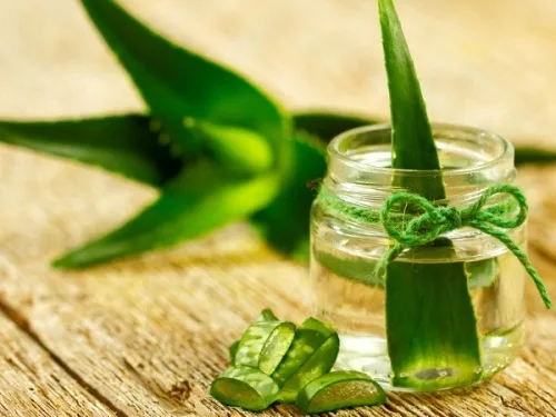 5 loại mặt nạ dưỡng môi tự làm giúp môi hồng thêm xinh 5 loại mặt nạ dưỡng môi tự làm giúp môi hồng thêm xinh