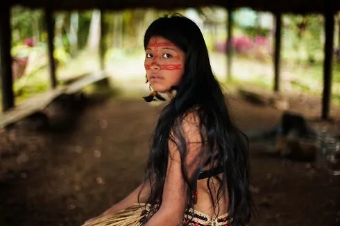 Rừng Amazon