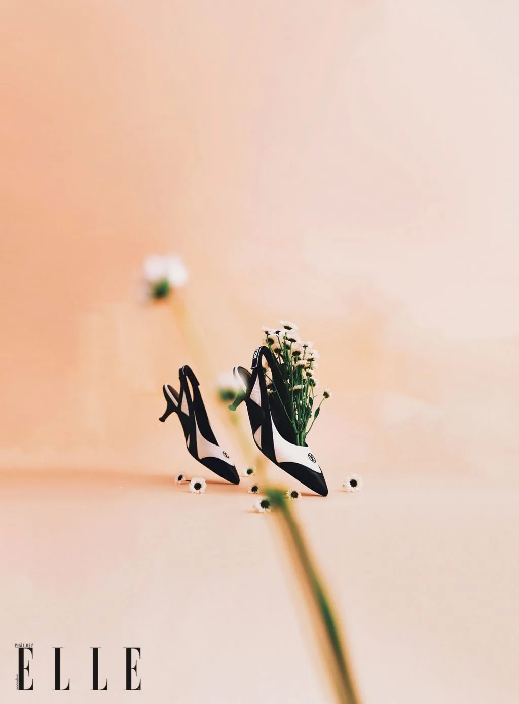 phụ kiện giày slingback louis vuitton phụ kiện giày slingback louis vuitton