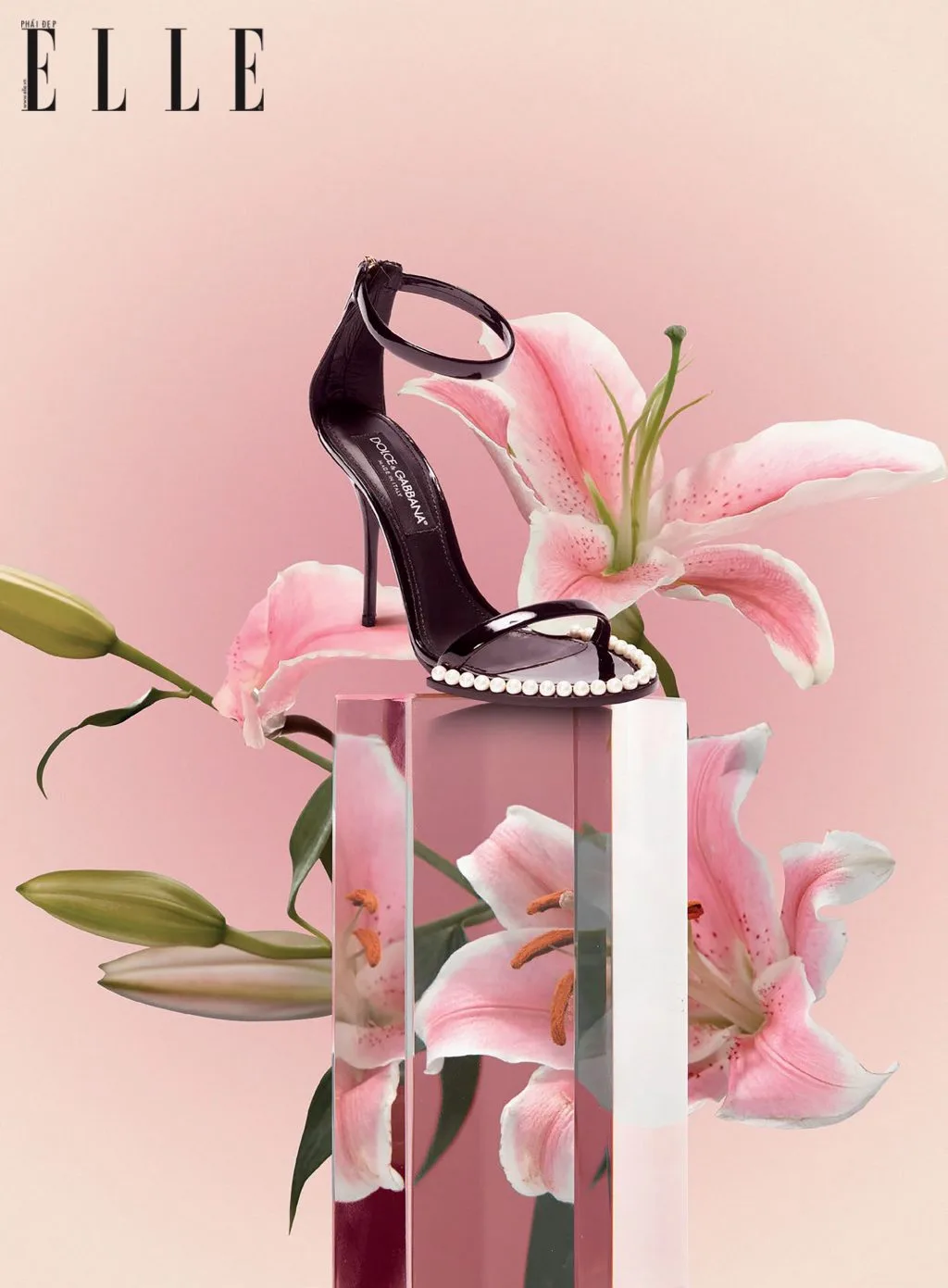 phụ kiện giày sandals của Dolce Gabbana phụ kiện giày sandals của Dolce Gabbana