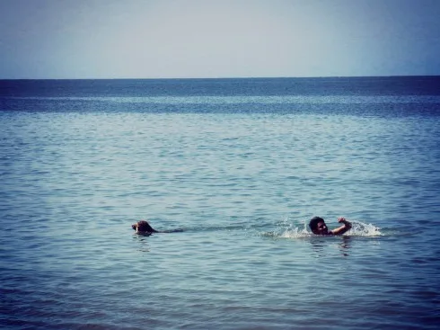 photo_4